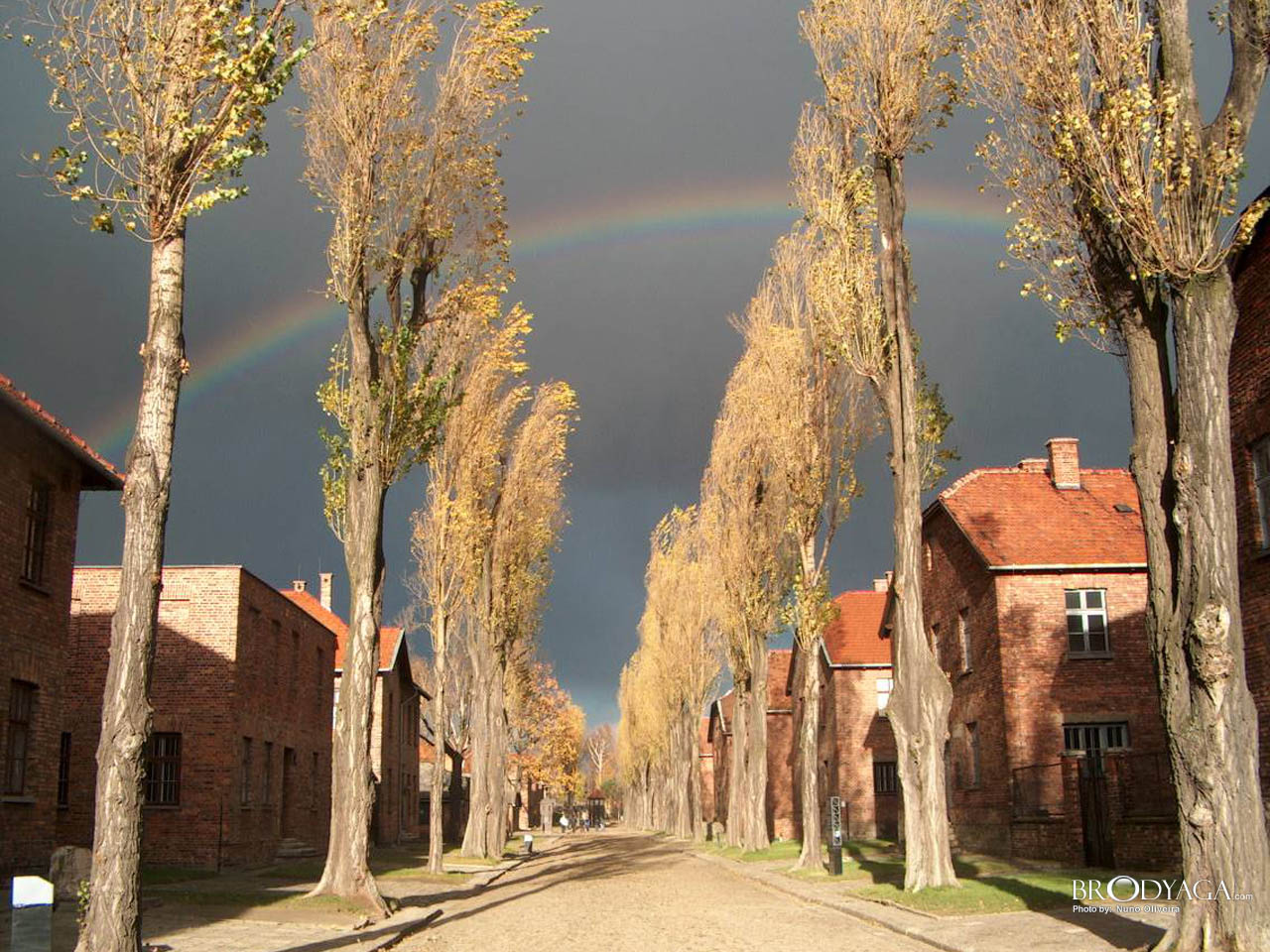 Auschwitz - Oswiecim